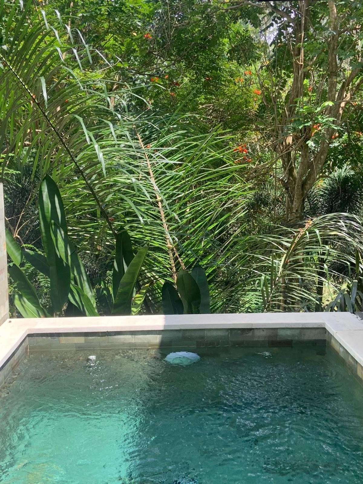 Ubud Hills Villas & Resort Tegallalang  Exterior foto